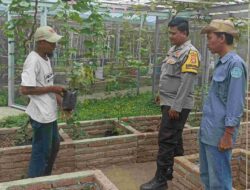 Bhabinkamtibmas Sambang Desa Jembatan Gantung: Dukung Ketahanan Pangan dan Keamanan Pilkada