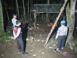 Patroli Dini Hari Polsek Sekotong: Jaga Ternak, Ciptakan Rasa Aman Warga