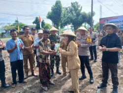 Lombok Barat Gemakan Tanam Jagung Serentak: Dukung Swasembada Pangan Nasional