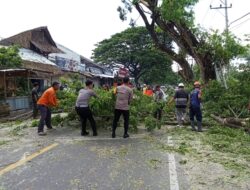Kapolres Lombok Utara Bantu Warga Bersihkan Ranting Pohon.