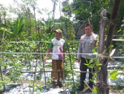 Bhabinkamtibmas Jagaraga Ajak Warga Optimalkan Pekarangan untuk Ketahanan Pangan
