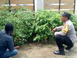 Kapolsek Sekotong Sambangi Warga, Pantau Program Pekarangan Bergizi