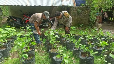 Bhabinkamtibmas Dampingi Warga Kembangkan Pekarangan Bergizi di Desa Batulayar
