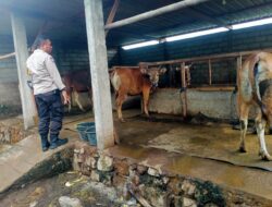 Bhabinkamtibmas Karang Bongkot Bantu Warga Kembangkan Peternakan