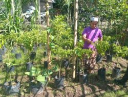 Polsek Batulayar Dukung Ketahanan Pangan Lewat Sosialisasi Langsung ke Warga