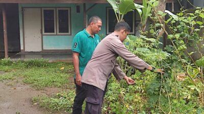 Dukung Ketahanan Pangan, Warga Desa Kuranji Dalang Tanam Sayuran di Pekarangan