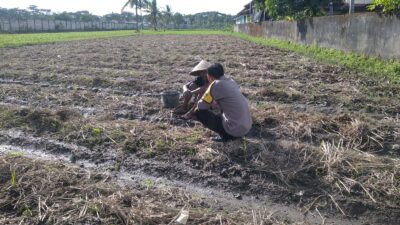 Bhabinkamtibmas Kuripan Dukung Ketahanan Pangan Lewat Pemanfaatan Pekarangan