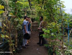 Polsek Kuripan Dorong Ketahanan Pangan Lewat Kolaborasi Pemuda