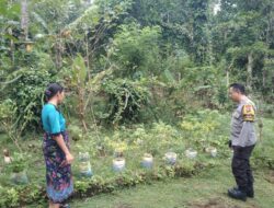 Polsek Batulayar Dorong Kemandirian Pangan Lewat Pemanfaatan Lahan Pekarangan