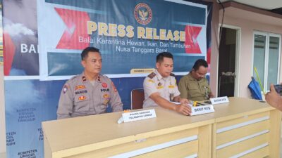 Sinergi BKHIT NTB dan Polri Amankan 81 Burung Satwa Dilindungi di Pelabuhan Lembar