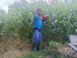 Polri Dukung Ketahanan Pangan di Desa Beleka Lombok Barat