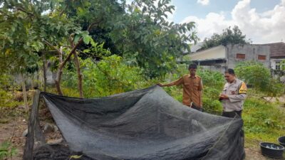 Bhabinkamtibmas Gelogor Dorong Warga Tanam Pangan di Halaman Rumah