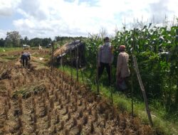 Polisi Dorong Ketahanan Pangan Desa Melalui Lahan Produktif