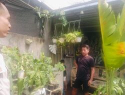 Sinergi Polri dan Petani Wujudkan Ketahanan Pangan di Labuapi, Lombok Barat