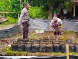 Bhabinkamtibmas Kuripan Utara Dorong Ketahanan Pangan Rumah Tangga