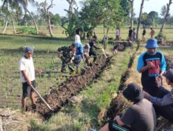 Sinergi Babinsa dan Warga Bangun Akses Tani Baru