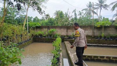 Ketahanan Pangan Dimulai dari Dusun Pesongoran, Lombok Barat