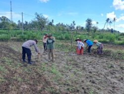 Polri Dorong Swasembada Pangan di Lombok Barat