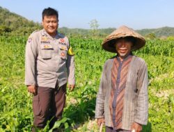 Bhabinkamtibmas Dukung Ketahanan Pangan di Desa Jembatan Gantung