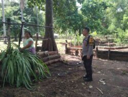 Ketahanan Pangan Dimulai dari Pekarangan: Inisiatif Polri di Batulayar Barat