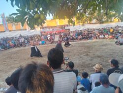 Festival Peresean Mendunia, Warisan Budaya Lombok yang Kian Mendunia