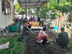 Babinsa Punia dan Lurah Sinergi Tanam Cabai, Wujudkan Lingkungan Hijau dan Mandiri Pangan