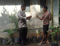 Batulayar Bangkitkan Ketahanan Pangan Lewat Pekarangan Bergizi