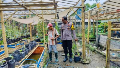 Bhabinkamtibmas Desa Bajur Dorong Kemandirian Pangan Warga Tempit