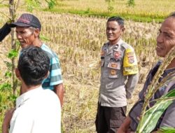 Bhabinkamtibmas Desa Rumak Dorong Warga Manfaatkan Pekarangan untuk Ketahanan Pangan