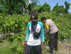 Polsek Kuripan Dorong Ketahanan Pangan di Desa Jagaraga