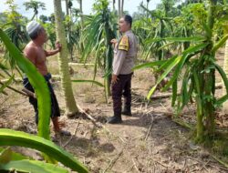 Bhabinkamtibmas Gelogor Dukung Petani Jaga Ketahanan Pangan
