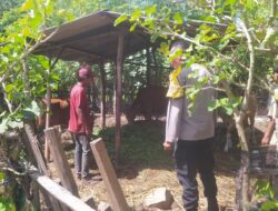 Bhabinkamtibmas Dukung Peternakan Sapi Warga di Batu Putih