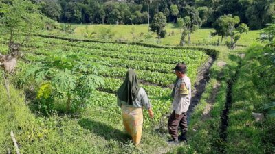 Bhabinkamtibmas Dorong Ketahanan Pangan di Dusun Nyiur Gasing, Lombok Barat