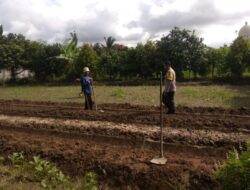 Bhabinkamtibmas Kediri Dorong Ketahanan Pangan di Plowok Selatan