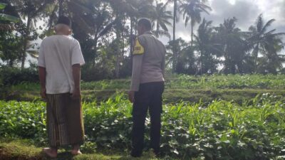 Pemanfaatan Pekarangan untuk Ketahanan Pangan di Dusun Pelan