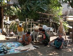 Semarak Persiapan Gawe Gubuk Sedesa Peteluan Indah Dimulai