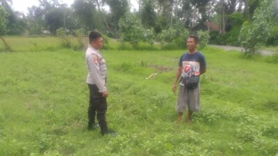 Bhabinkamtibmas Jagaraga Dorong Warga Kuripan Manfaatkan Lahan Pekarangan untuk Ketahanan Pangan