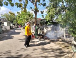 Sinergi Babinsa dan Lurah Punia Wujudkan Lingkungan Bersih