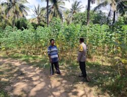 Polsek Sekotong Ajak Warga Desa Pelangan Wujudkan Pekarangan Pangan Bergizi