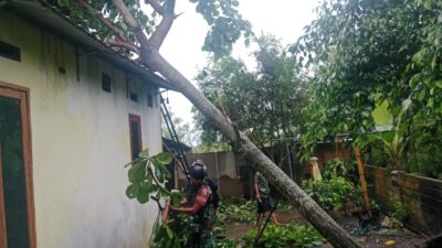 Hujan Deras dan Angin Kencang, Babinsa Gerak Cepat di Jagaraga