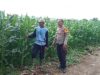 Dukung Kedaulatan Pangan, BKTM Desa Lamenta Pantau Langsung Perawatan Tanaman Jagung Warga