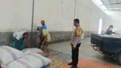Polsek Gerung Pantau Stok Jagung di Desa Beleka
