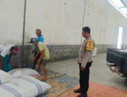 Polsek Gerung Pantau Stok Jagung di Desa Beleka