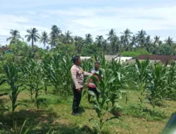 Polsek Sekotong Dorong Warga Manfaatkan Pekarangan