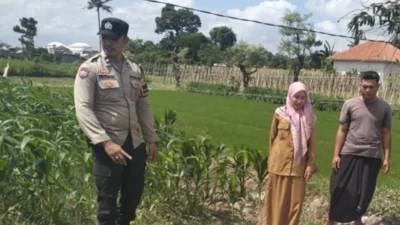 Bhabinkamtibmas Labuapi Sulap Lahan Tidur Jadi Area Produktif