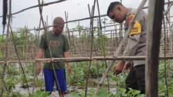 Polres Lobar Perkuat Ketahanan Pangan di Desa Kuranji Dalang
