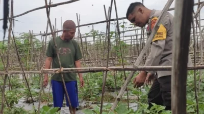 Polres Lobar Perkuat Ketahanan Pangan di Desa Kuranji Dalang