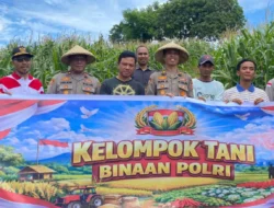 Dukung Kedaulatan Pangan, Polres Lombok Barat Bina 35 Hektar Lahan di Sekotong