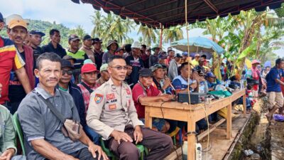 Pengamanan Kegiatan Karapan Kerbau Desa Bangkat Munteh Berjalan Aman dan Kondusif